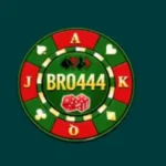BRO444 Game